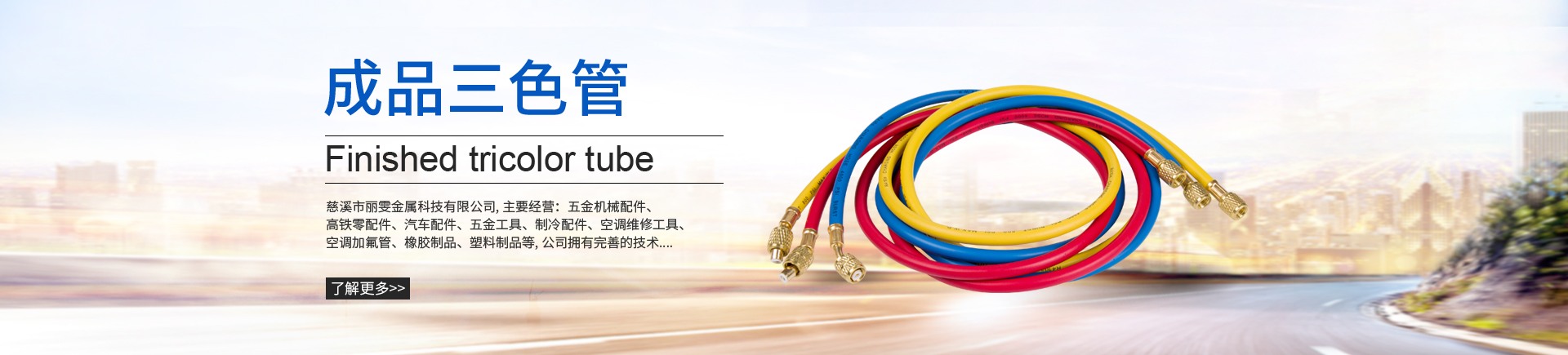 帶式輸送機(jī)（散料輸送） 